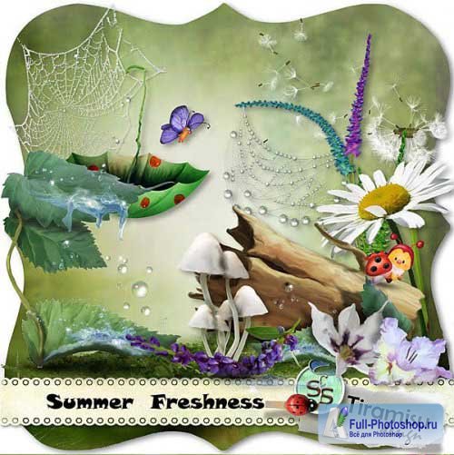    -  . Scrap - Summer Freshness 