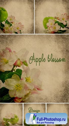 Backgrounds with green apples and apple blossom