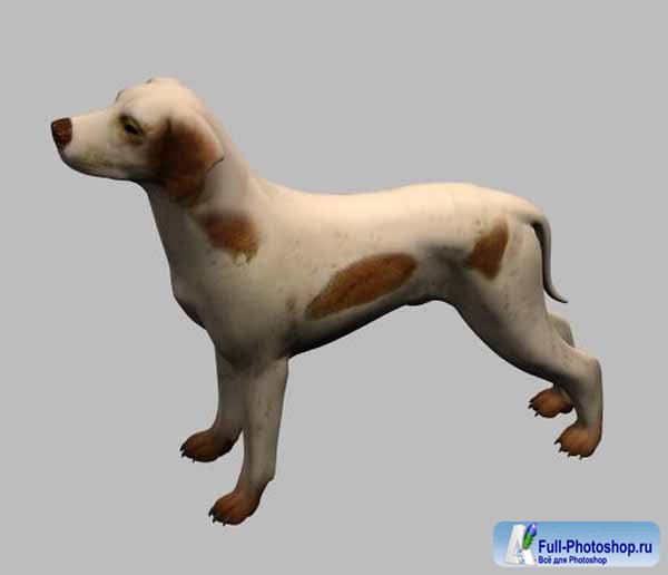3d модель собаки