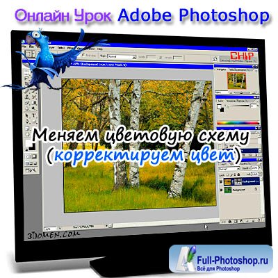   Photoshop   (   )