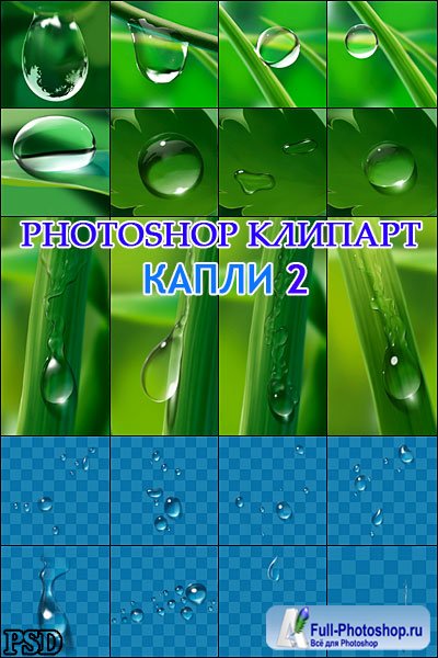 Photoshop PSD   2 