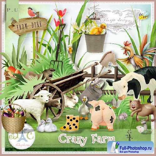 - - Crazy Farm