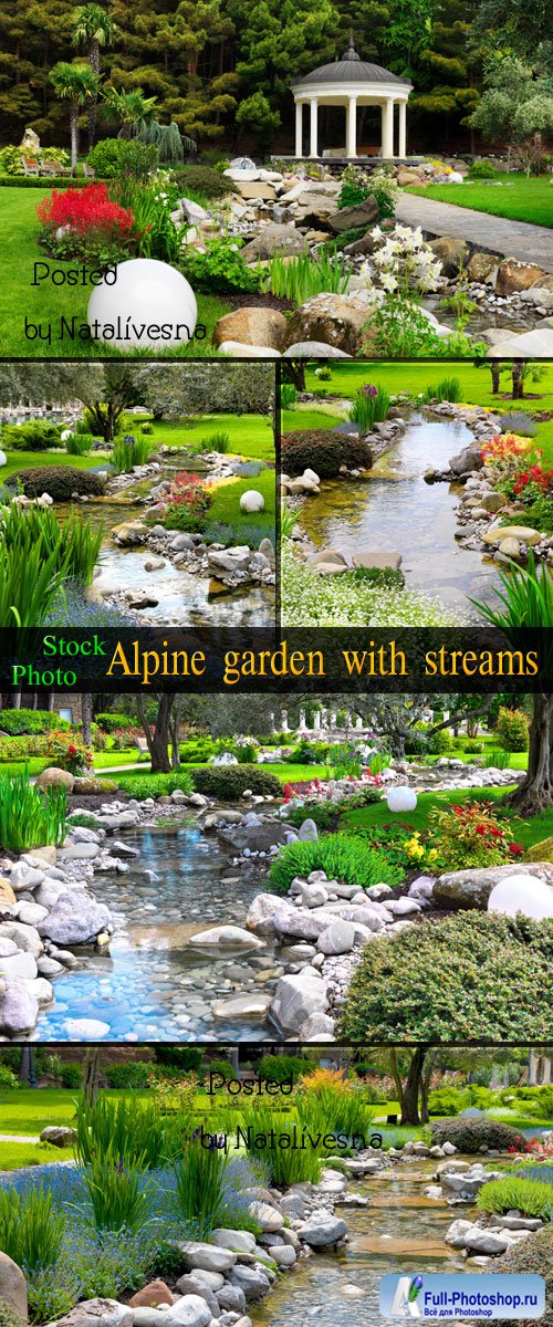     / Alpine garden with stream - Stock photo 