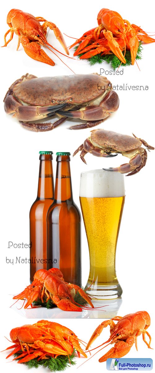 ,    / Beer, crabs to beer - Stock photo