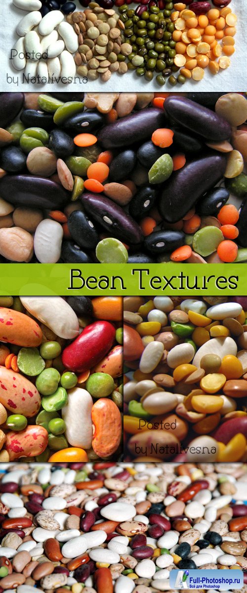   / Textures Bean 