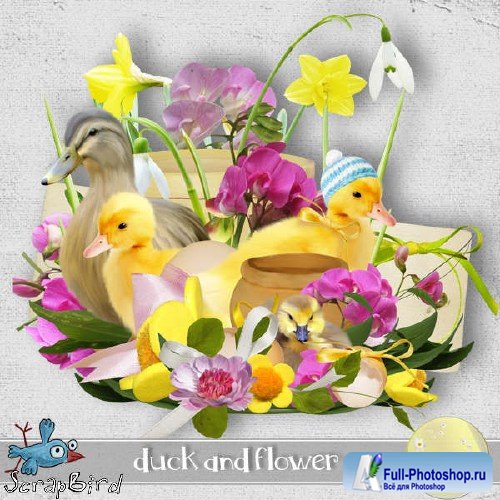  - - Duck and Flower