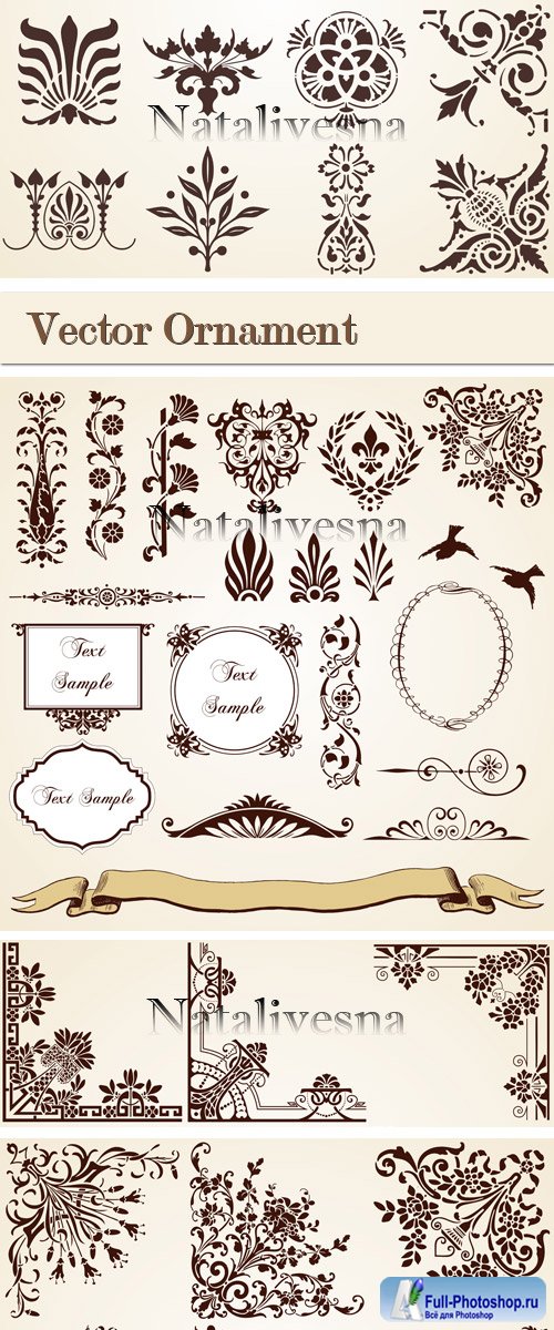    / Ornament Elements  in Vector