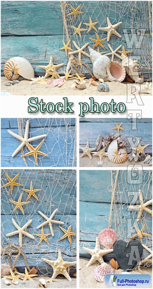   / Marine backgrounds, fishing nets and seashells - Raster clipart