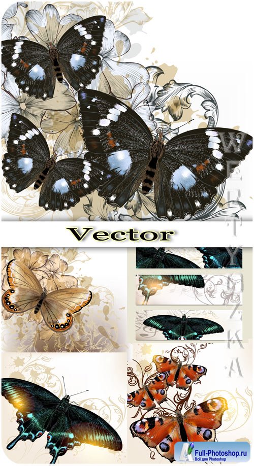      / Butterflies and backgrounds with flowers - vector clipart