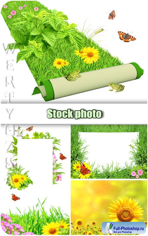 ,     / Flowers, green grass and butterflies - Raster clipart