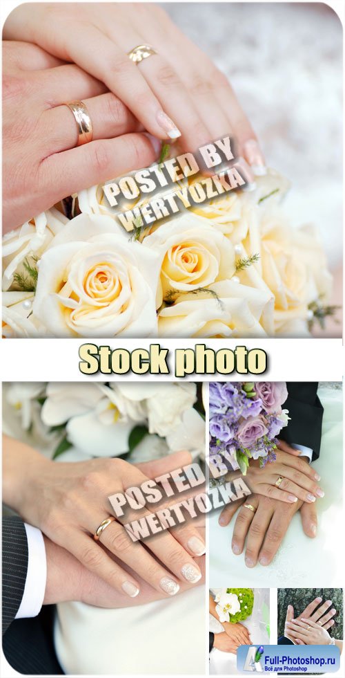 ,     / Wedding, bride and groom hands - stock photos