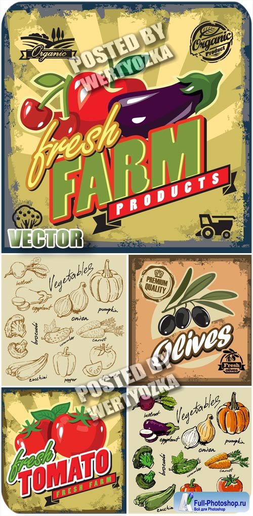   ,  / Label with vegetables, vintage - stock vector