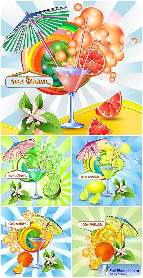  ,    / Cocktails in the vector of citrus juice