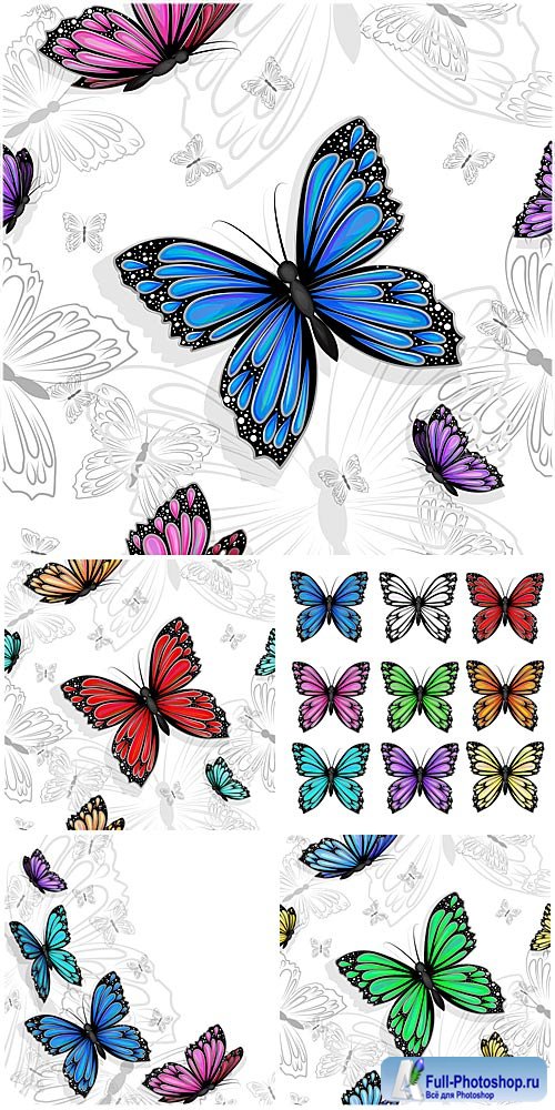   / Butterfly vector