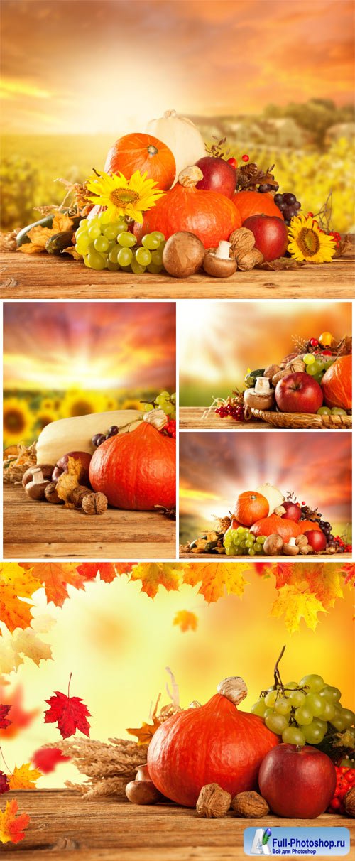  ,   / Autumn background, fall harvest - Stock photo
