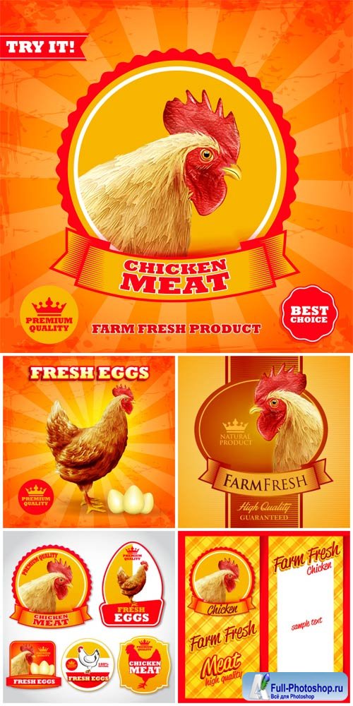       / Vector labels and backgrounds with chicken