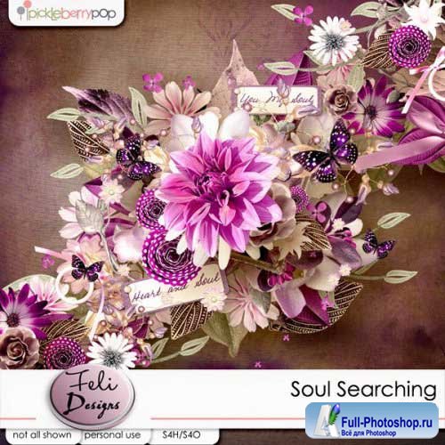  - - Soul Searching 