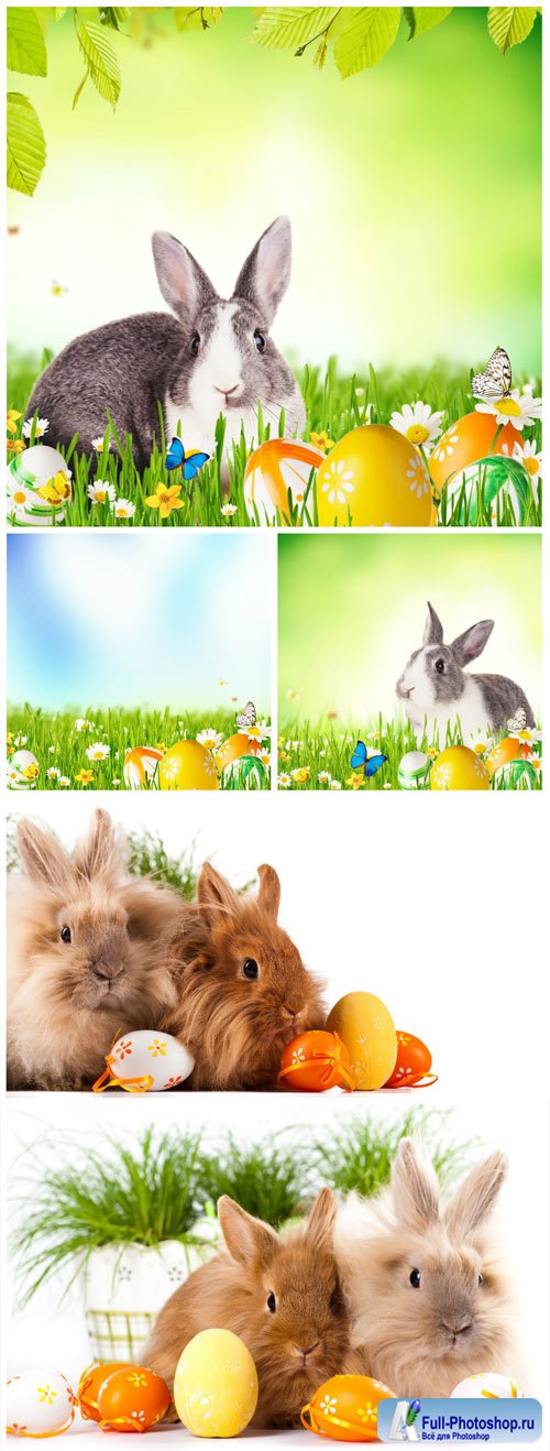 Easter bunnies, flowers and butterflies - stock photos