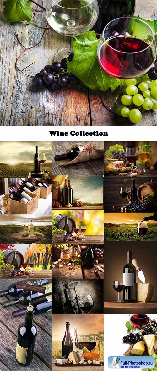 Wine Collection