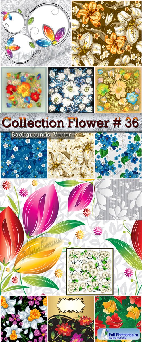 Collection Flower Backgrounds in Vector # 36