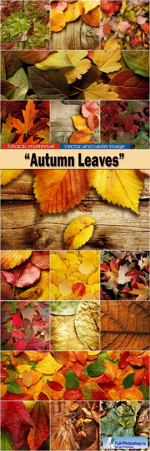 Яркие осенние листья – Краски природы
