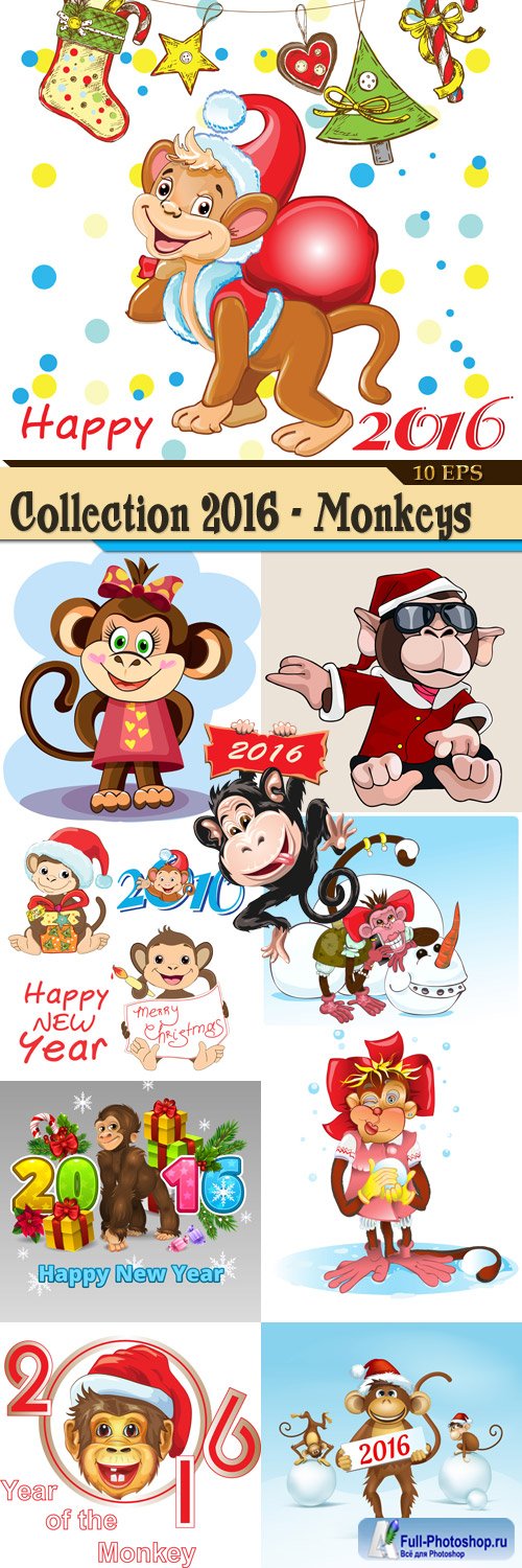 Collection 2016 - Monkeys