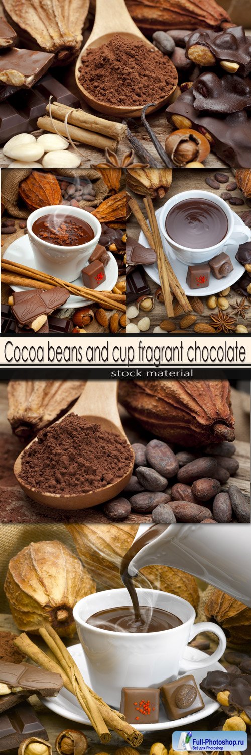 Cocoa beans and cup fragrant chocolate