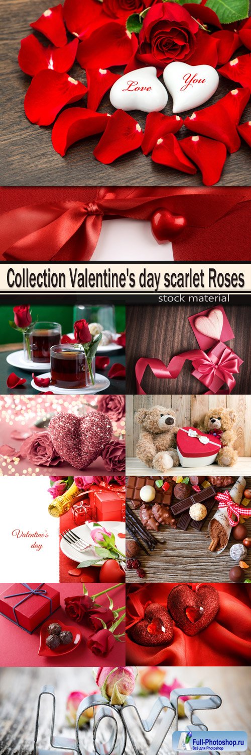 Collection Valentine's day scarlet Roses