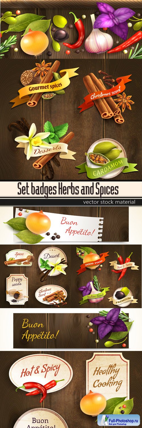Set badges Herbs and Spices