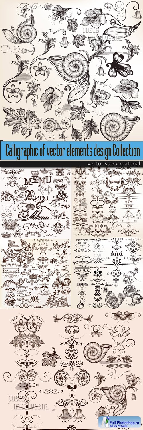 Calligraphic of vector elements design Collection