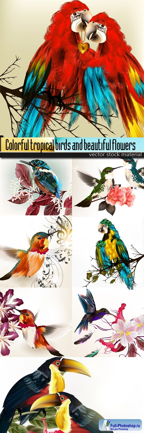 Colorful tropical birds and beautiful flowers
