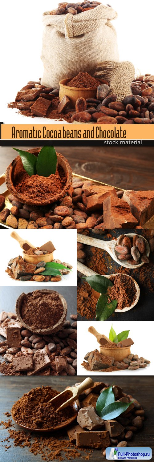 Aromatic Cocoa beans and Chocolate on wooden background