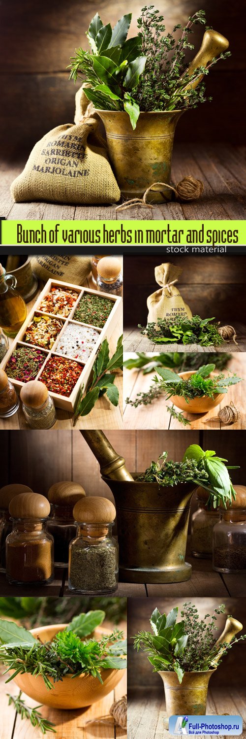 Bunch of various herbs in mortar and spices