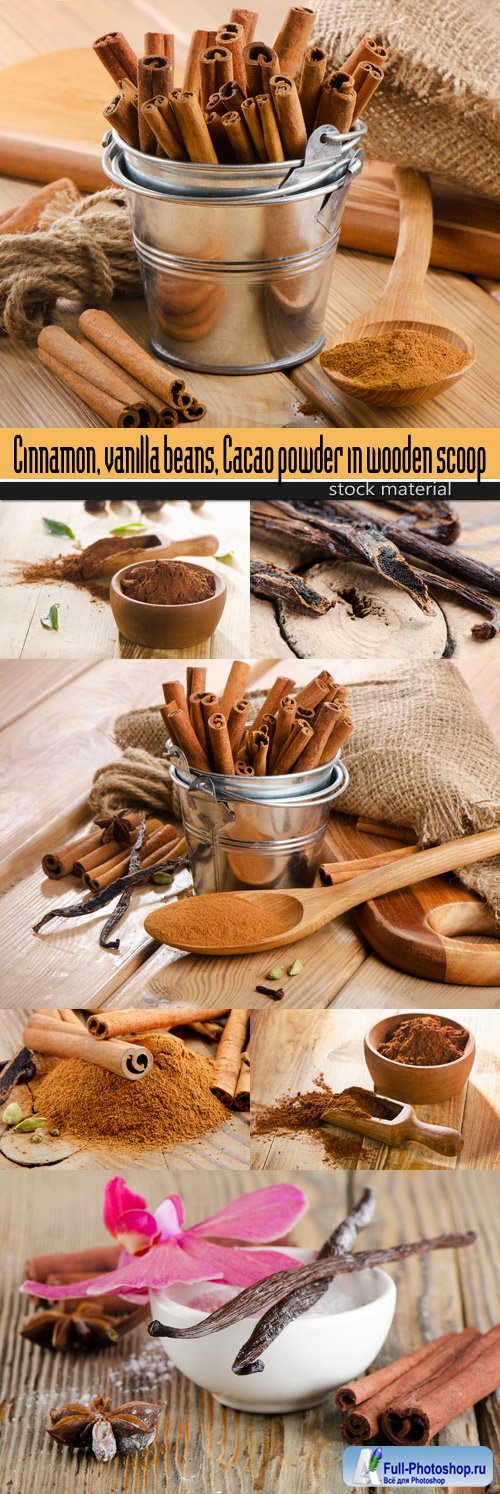 Cinnamon, vanilla beans, Cacao powder in wooden scoop