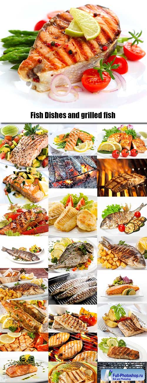 Fish Dishes and grilled fish