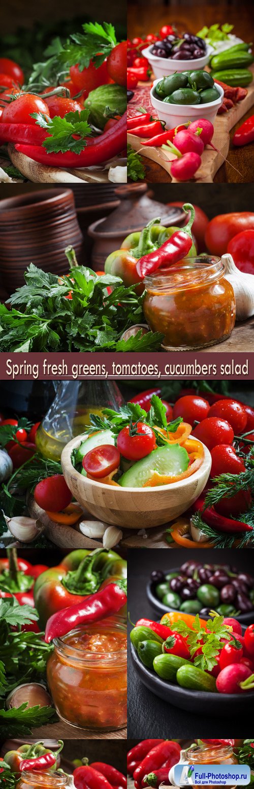 Spring fresh greens, tomatoes, cucumbers salad