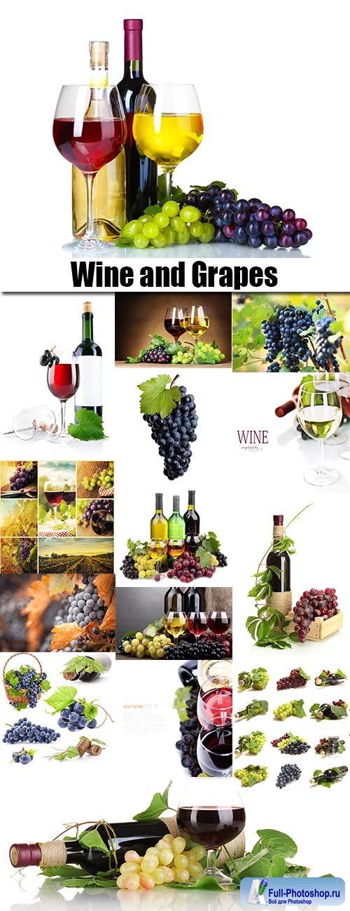 Wine and Grapes