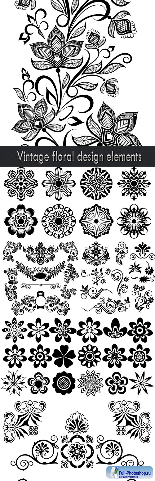Vintage floral design elements