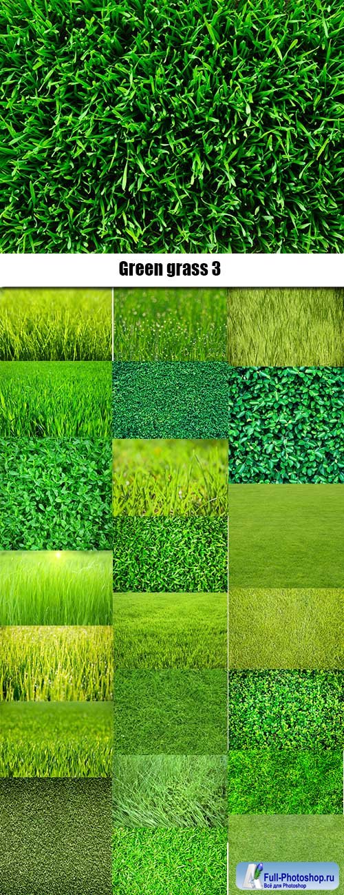 Green grass 3