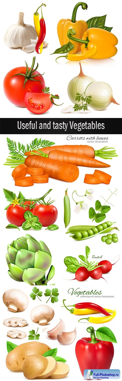 Useful and tasty Vegetables