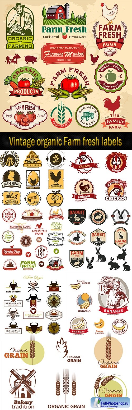 Vintage organic Farm fresh labels