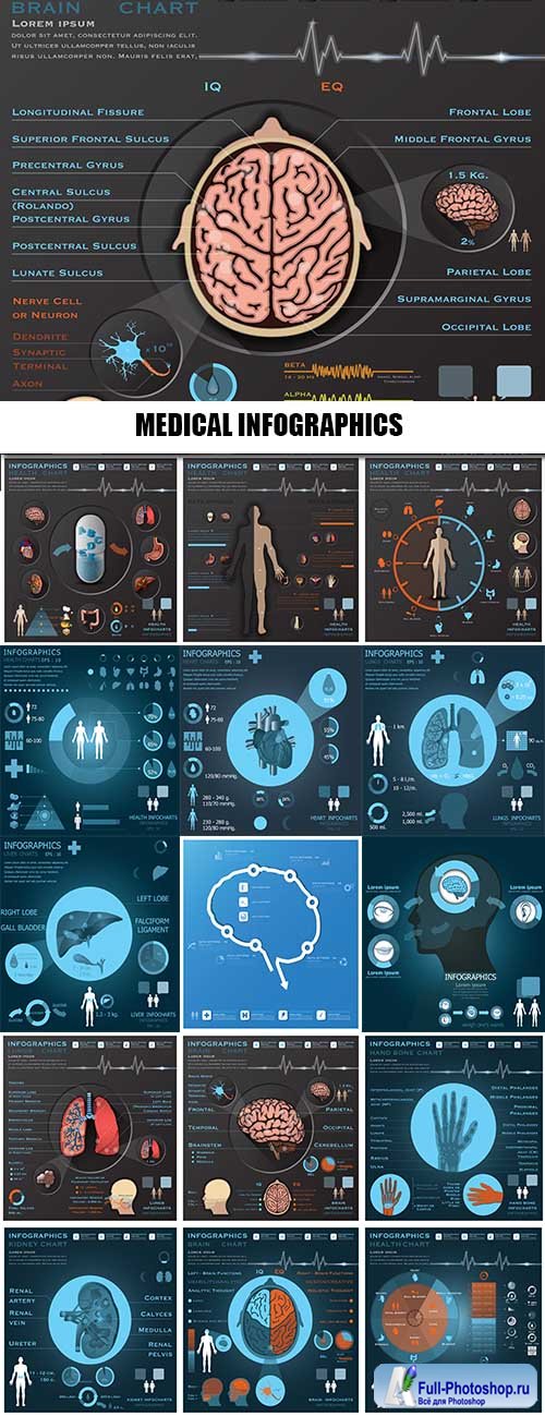 MEDICAL INFOGRAPHICS