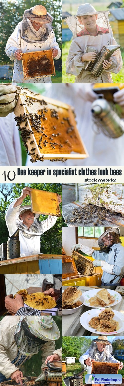 Bee keeper in specialist clothes look bees
