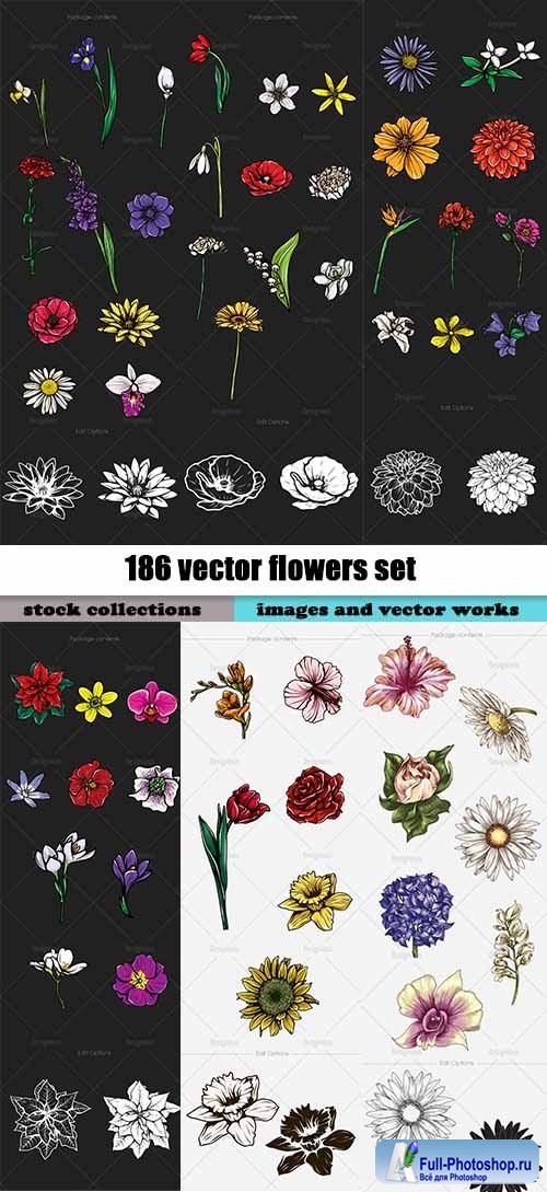 186 vector flowers set