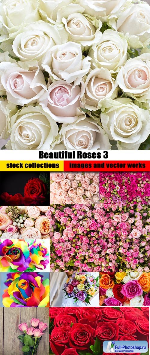 Beautiful Roses 3 