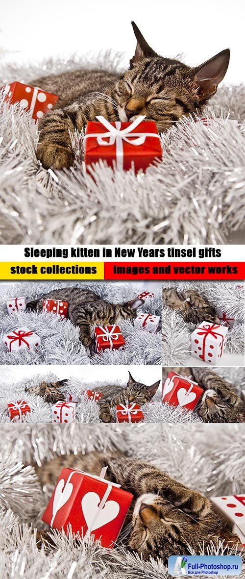 Sleeping kitten in New Years tinsel gifts