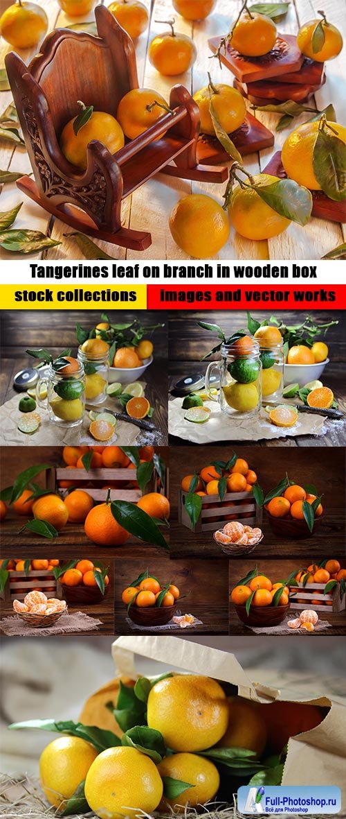Tangerines leaf on branch in wooden box