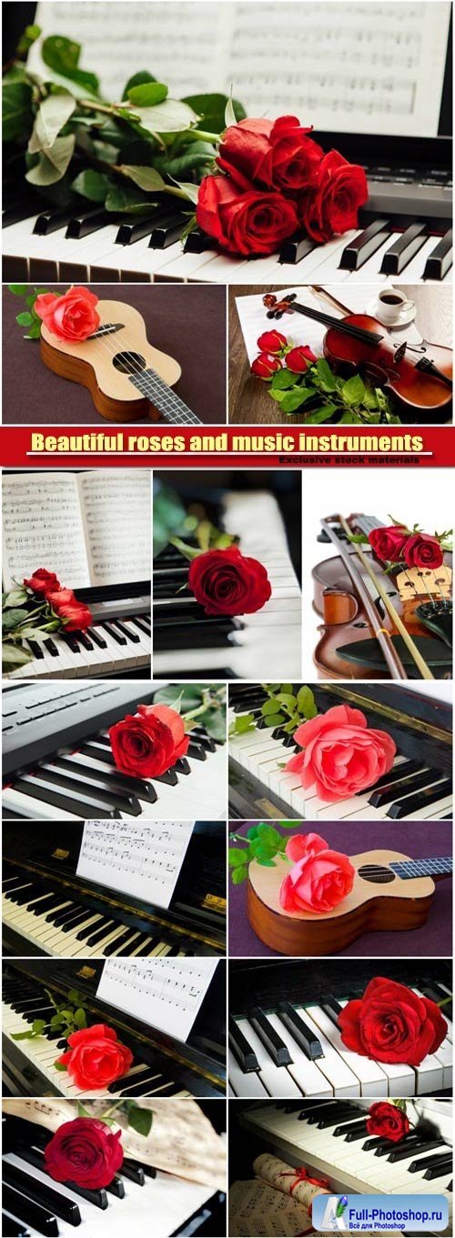 Beautiful roses and music instruments