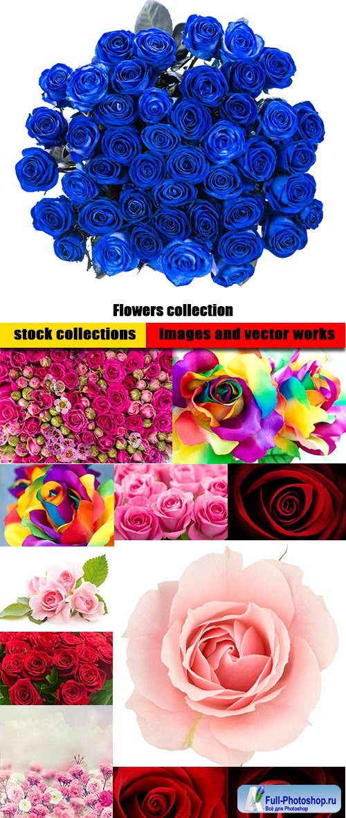 Flowers collection