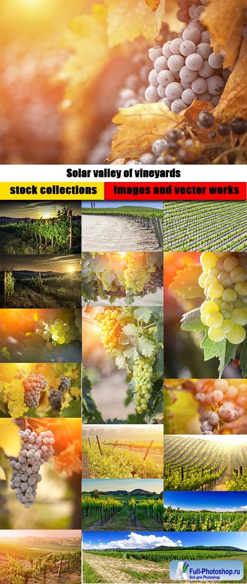 Solar valley of vineyards